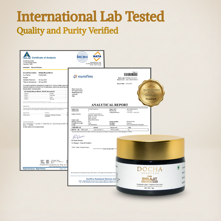 Docha Ayurveda Pure Shilajit Resin - Royal Blend